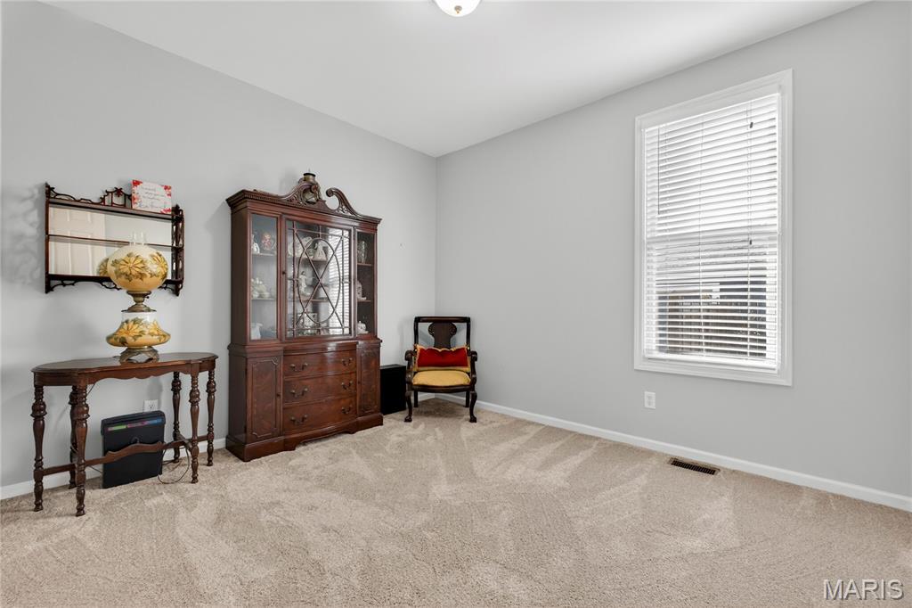 New Town At St Chas #9 - Residential