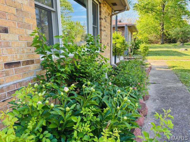 Shady Oaks - Residential