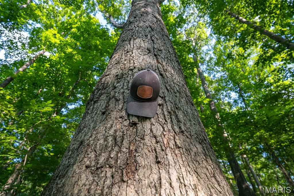 0 County Road 530 Tract 3