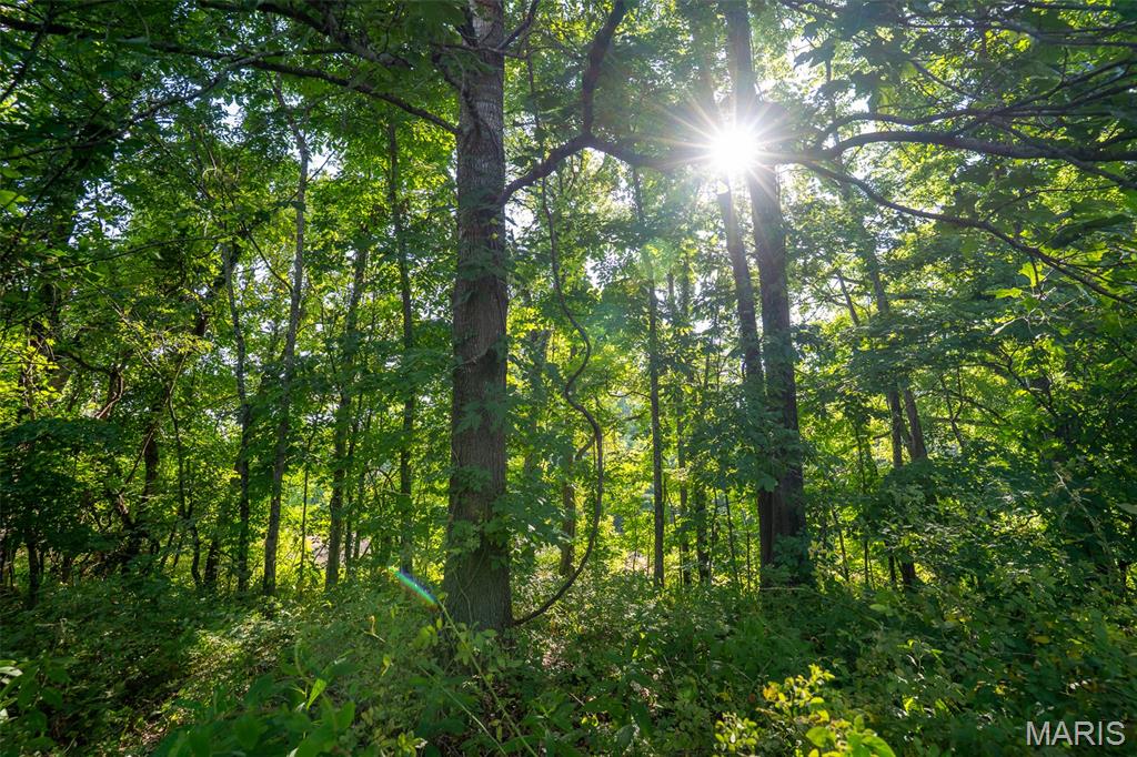 0 County Road 530 Tract 3