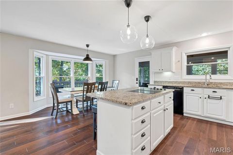 Tiny photo for 19323 Dogwood Valley Court, Wildwood, MO 63038 (MLS # 25068773)