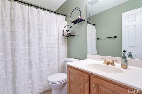 Tiny photo for 19323 Dogwood Valley Court, Wildwood, MO 63038 (MLS # 25068773)