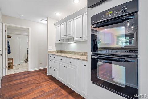 Tiny photo for 19323 Dogwood Valley Court, Wildwood, MO 63038 (MLS # 25068773)