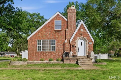 Photo of 1800 Patterson Road, Florissant, MO 63031 (MLS # 26022591)