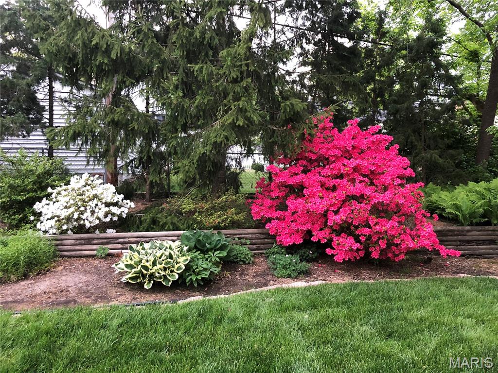 Glen Ridge - Residential