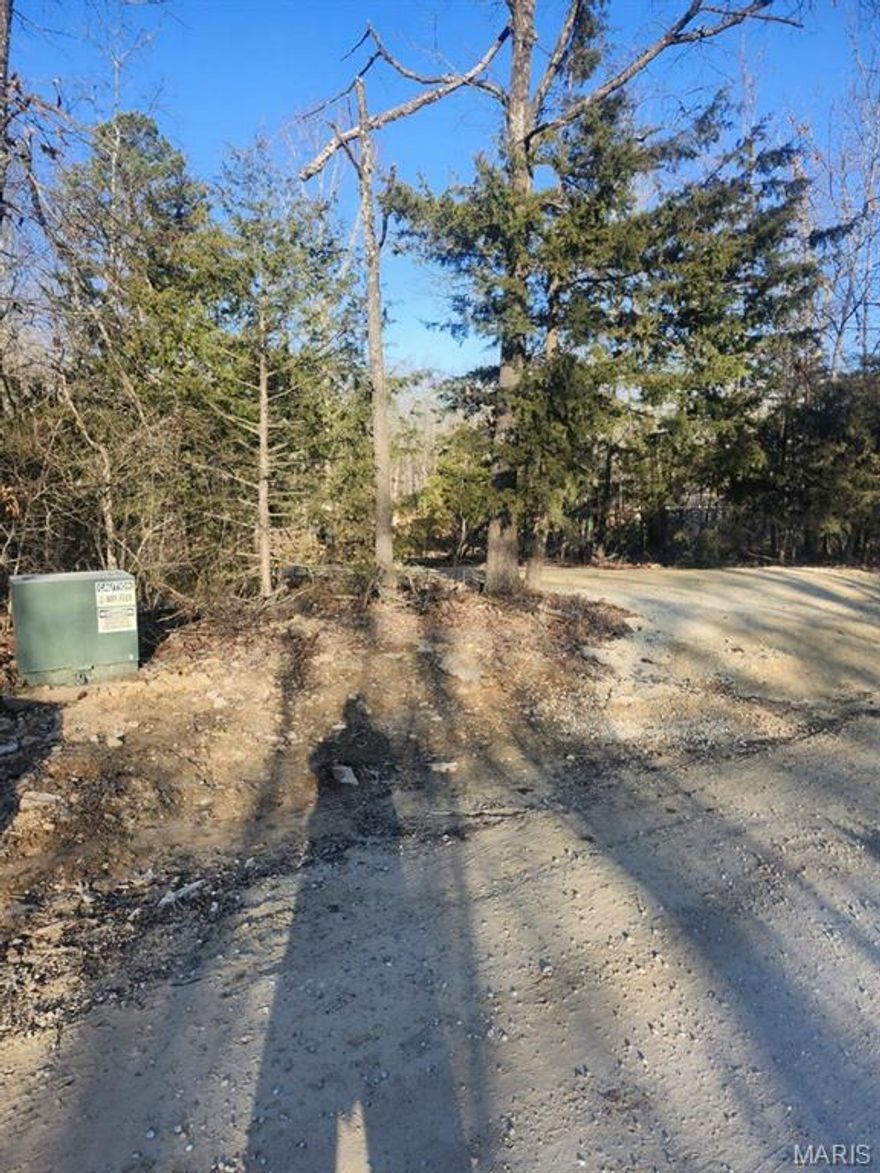 Lot in Wildwood lake subdivision. Electric at front of lot at rd.  Mostly wooded. Bring your tiny house, camper, mobile home, or build your custom home here.