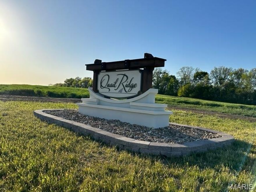 Build your Next Home on one of these Beautiful 3+/- acre lots, located just minutes away from St. Paul, MO off Freymuth Rd in the newly developed Quail Ridge Subdivision! These gently rolling lots, which overlook Agricultural fields, feature Electric & Fiber Internet, and they allow you to bring your own Builder. Just 4.5 miles away from I-70 at Lake Saint Louis, this development makes for an easy commute. Come take a look before these lots are all gone! Additional Rooms: In Platted Subdv.