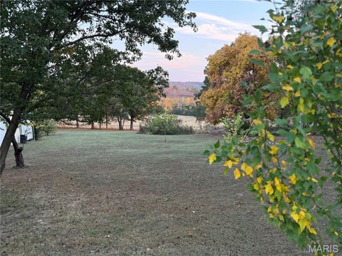 Tiny photo for 6028 Highway AC, Leslie, MO 63056 (MLS # 26047108)