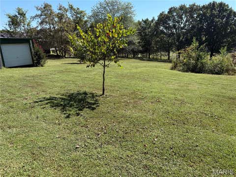 Tiny photo for 6028 Highway AC, Leslie, MO 63056 (MLS # 26047108)