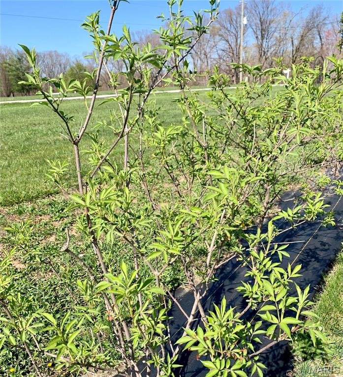 Shady Oaks - Residential