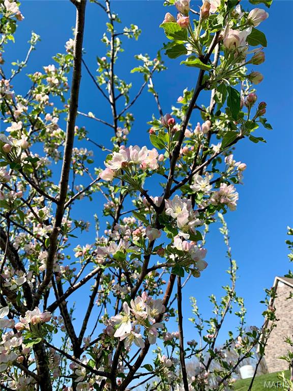 Shady Oaks - Residential