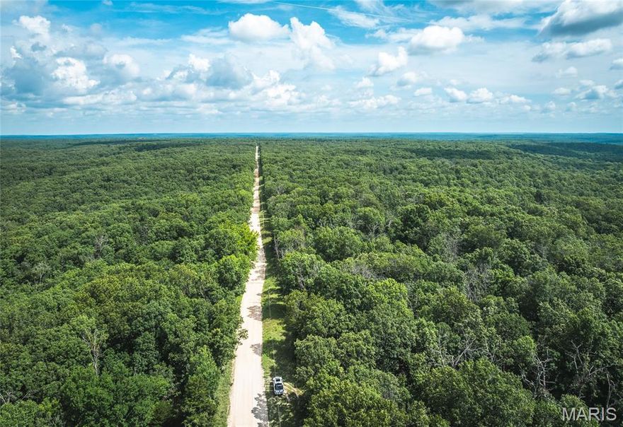 Two 120 acre tracts located in Camden County. Both of these tracts have mature, old growth ,marketable timber. Both parcels have great road frontage with electric at the road. great deer and turkey hunting  with several potential building spots and a wet weather creek running through both tracts. Close proximity to the little Niangua creek and Lake Of the Ozarks. Owners will consider further subdividing.