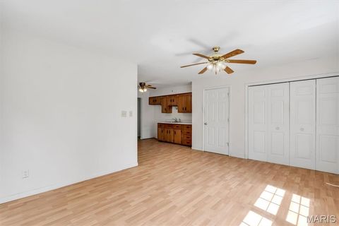 Tiny photo for 425 Bush Drive, Ballwin, MO 63021 (MLS # 26026864)