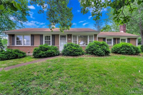 Tiny photo for 425 Bush Drive, Ballwin, MO 63021 (MLS # 26026864)
