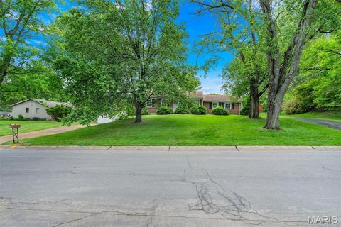 Tiny photo for 425 Bush Drive, Ballwin, MO 63021 (MLS # 26026864)