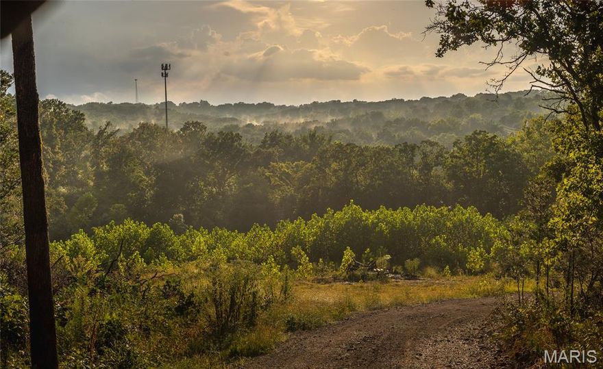 Here’s a rare opportunity to own 30 acres with endless potential, located just 5 minutes outside of Festus along Highway 67. Over 3 acres have already been cleared for a homesite, making it easy to start building right away. A private, half-mile gravel road will get you around the property with ease. The land lays beautifully with rolling topography that would be perfect for adding a private lake. Picture your dream home on the hilltop, overlooking the water and enjoying spectacular westward sunset views. Utilities are easily accessible with electric and water nearby. With no restrictions, the options are wide open—build your forever home, create a family compound, or even explore development potential. Despite its close proximity to the highway, the property feels tucked away and private once you’re out on the land. Wildlife is abundant, and it wouldn’t be surprising to see deer roaming the property, making it a great spot for hunting as well. The driveway sits directly across from an intersection on Highway 67, offering easy access in both directions. Sellers are also slightly flexible on property size and boundary lines, allowing you to tailor the acreage to your vision. Opportunities like this don’t come around often—schedule your showing today!