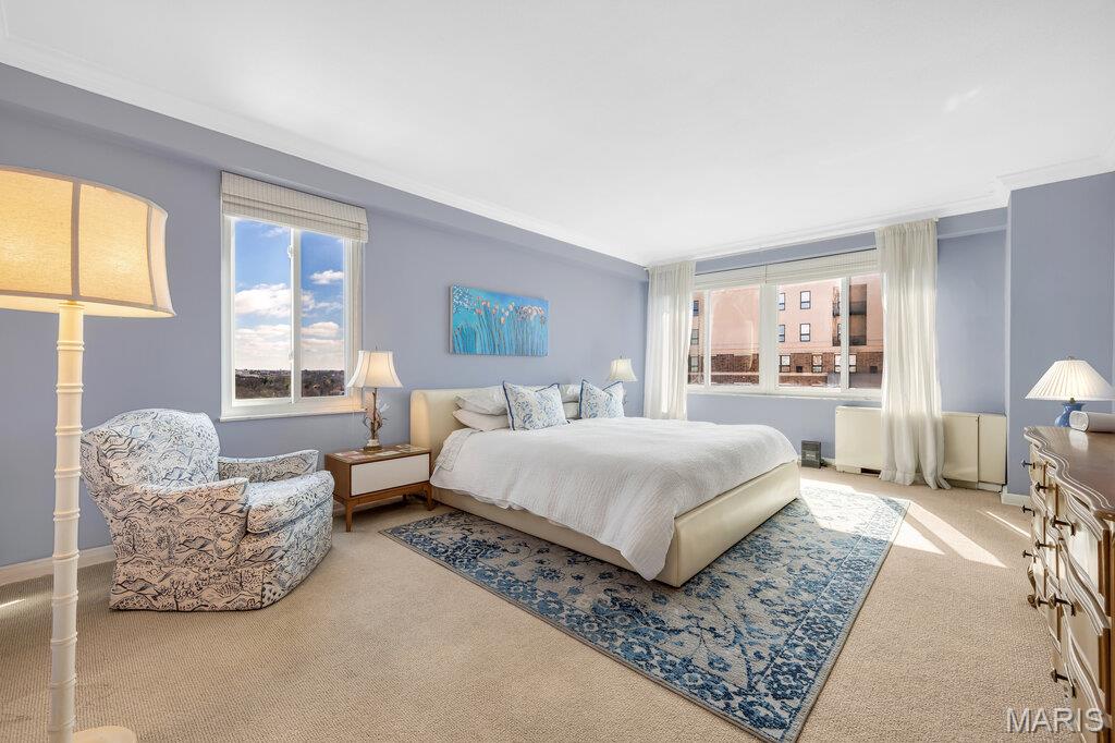 Hanley Towers Apts Condo - Residential