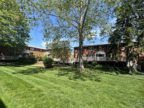 1041 N Clay Avenue C1 G9 Kirkwood MO 63122