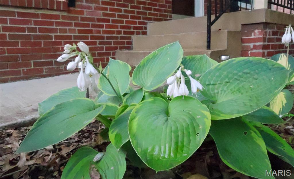 Moritz Place Add - Residential