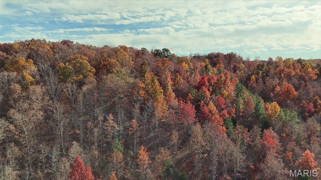 0 Highway 49 Tract 1-13