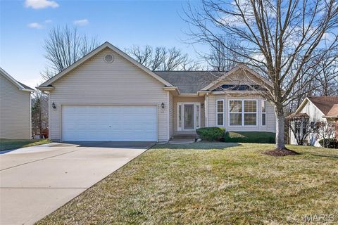 Photo of 231 Fiddlecreek Ridge Road, Wentzville, MO 63385 (MLS # 26005934)