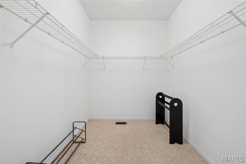 Tiny photo for 231 Fiddlecreek Ridge Road, Wentzville, MO 63385 (MLS # 26005934)