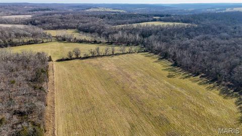 Tiny photo for 1508 N Davis Hollow Road, Richland, MO 65556 (MLS # 26031417)