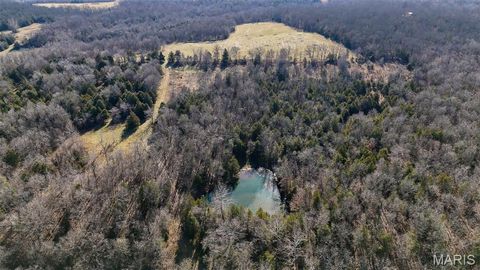 Tiny photo for 1508 N Davis Hollow Road, Richland, MO 65556 (MLS # 26031417)