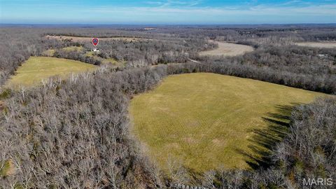 Tiny photo for 1508 N Davis Hollow Road, Richland, MO 65556 (MLS # 26031417)