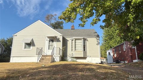 Photo of 315 Coppinger Drive, Dellwood, MO 63135 (MLS # 25070111)