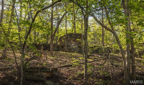 Tiny photo for 2288 Highway Y, Belle, MO 65013 (MLS # 26025887)