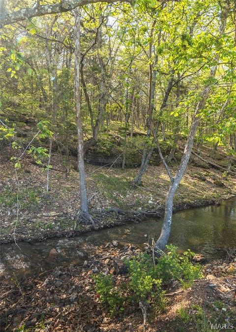 Tiny photo for 2288 Highway Y, Belle, MO 65013 (MLS # 26025887)