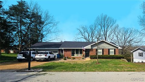 Photo of 12 Lakewood Drive, Hillsboro, MO 63050 (MLS # 26019183)