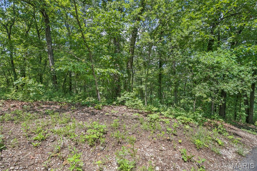9.41 acres Clermont Drive
