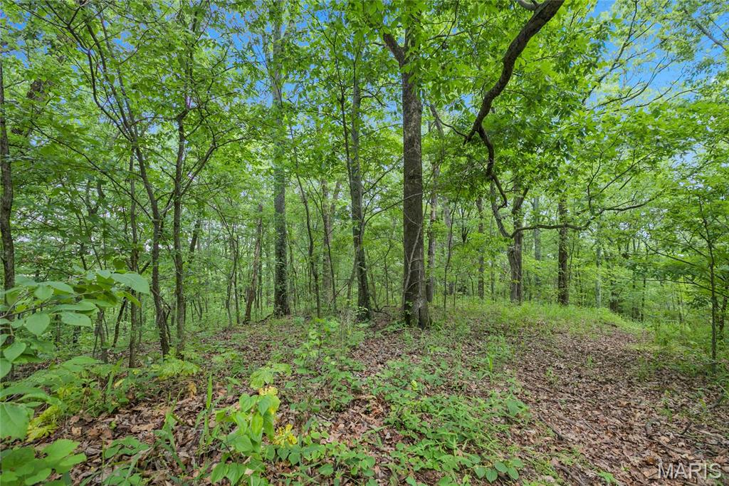 9.41 acres Clermont Drive