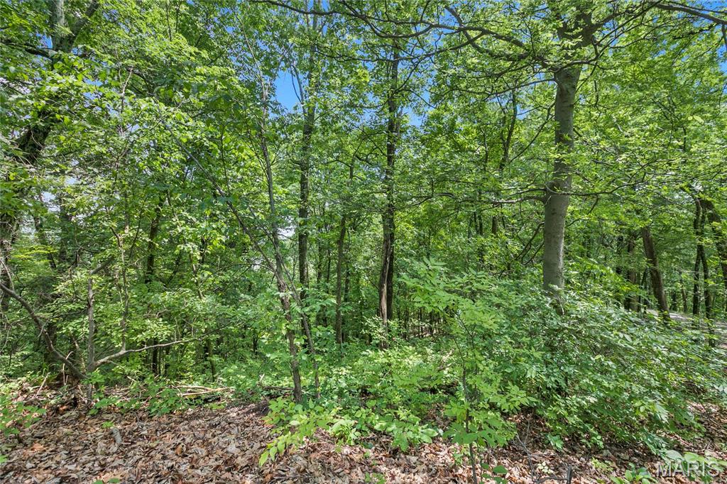 9.41 acres Clermont Drive