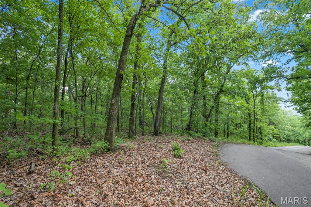 9.41 acres Clermont Drive