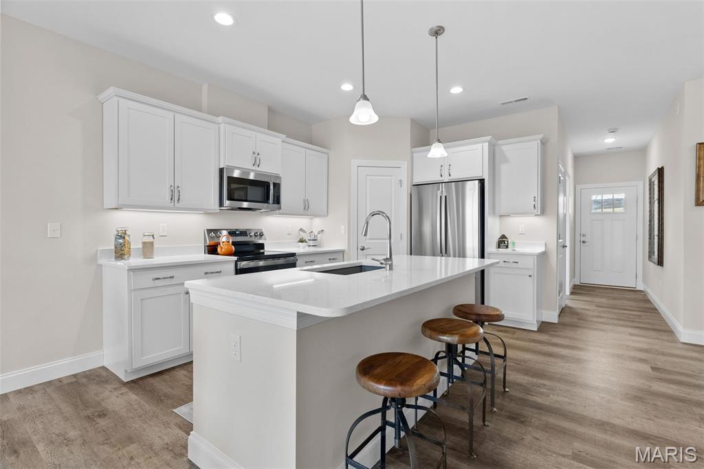 Photo of 867 Walter Way, Washington, MO 63090 (MLS # 26066570)