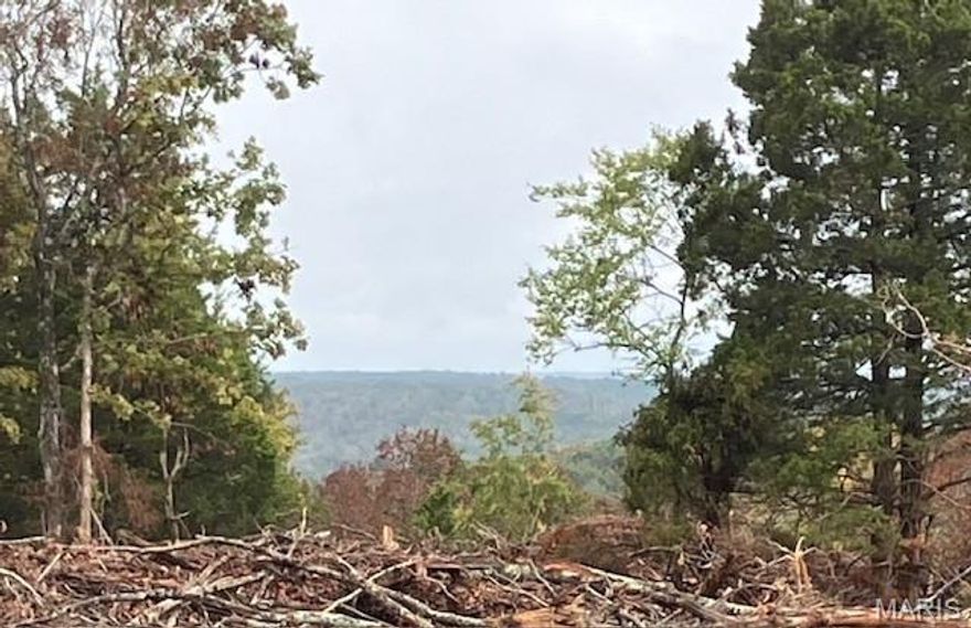 Wooded rural acreage with access to a shared spring-fed stream and within a mile of Mark Twain National Forest ... it doesn't get much better. It's a landowner's dream come true. 
This affordable Ozark oasis comes with NO restrictions. And there's a nice wide deeded easement gravel road leading from the county road to your property.
Hunt, camp, build, ride ATVs on your own land, or fish or play in the shared creek section. The opportunities are endless.
This property is wooded and rolling. You are within a mile of the 22,176-acre Mark Twain National Forest ... public ground where you can also hunt, ride and explore. All this, and only about 2 miles by road from U.S. 67 for quick and easy access.
Use this 140 acres as a base camp for adventure. This and surrounding land is teeming with deer, turkey and small game, and the occasional feral hog or maybe a black bear. 
Ownership comes with access to a 3-acre shared stretch of the magnificent 12 Mile Creek and gravel bar.