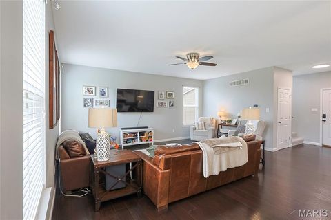 Tiny photo for 7 Sturgeon Court, Wentzville, MO 63385 (MLS # 26026832)
