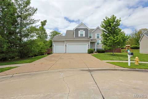 Photo of 7 Sturgeon Court, Wentzville, MO 63385 (MLS # 26026832)