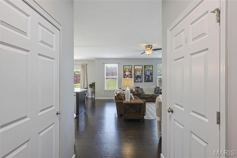Tiny photo for 7 Sturgeon Court, Wentzville, MO 63385 (MLS # 26026832)