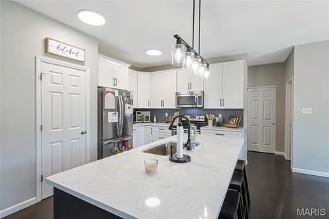 Tiny photo for 7 Sturgeon Court, Wentzville, MO 63385 (MLS # 26026832)