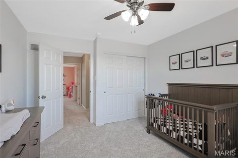 Tiny photo for 7 Sturgeon Court, Wentzville, MO 63385 (MLS # 26026832)