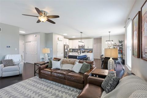 Tiny photo for 7 Sturgeon Court, Wentzville, MO 63385 (MLS # 26026832)