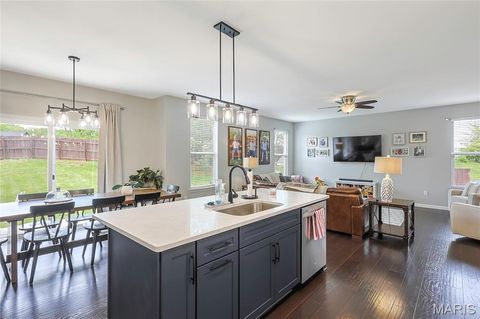 Tiny photo for 7 Sturgeon Court, Wentzville, MO 63385 (MLS # 26026832)