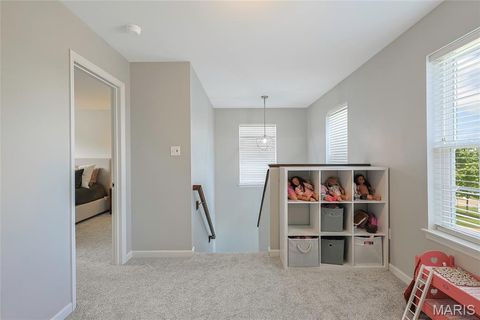Tiny photo for 7 Sturgeon Court, Wentzville, MO 63385 (MLS # 26026832)