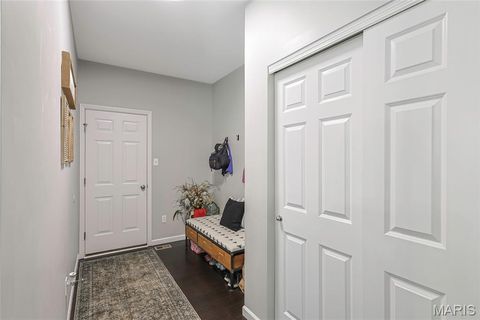 Tiny photo for 7 Sturgeon Court, Wentzville, MO 63385 (MLS # 26026832)