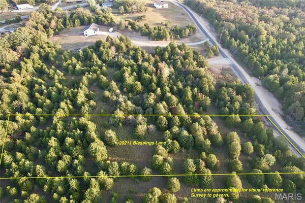 20211 BLESSINGS LANE LN, FARMINGTON, MO 63640 - Image aba2e1ceb3ba683178e8ec8271f4d7fa/535544731
