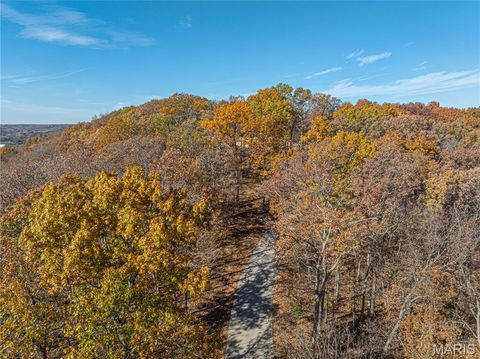 Tiny photo for 19005 Old Wild Turkey Lane, Wildwood, MO 63069 (MLS # 25075384)